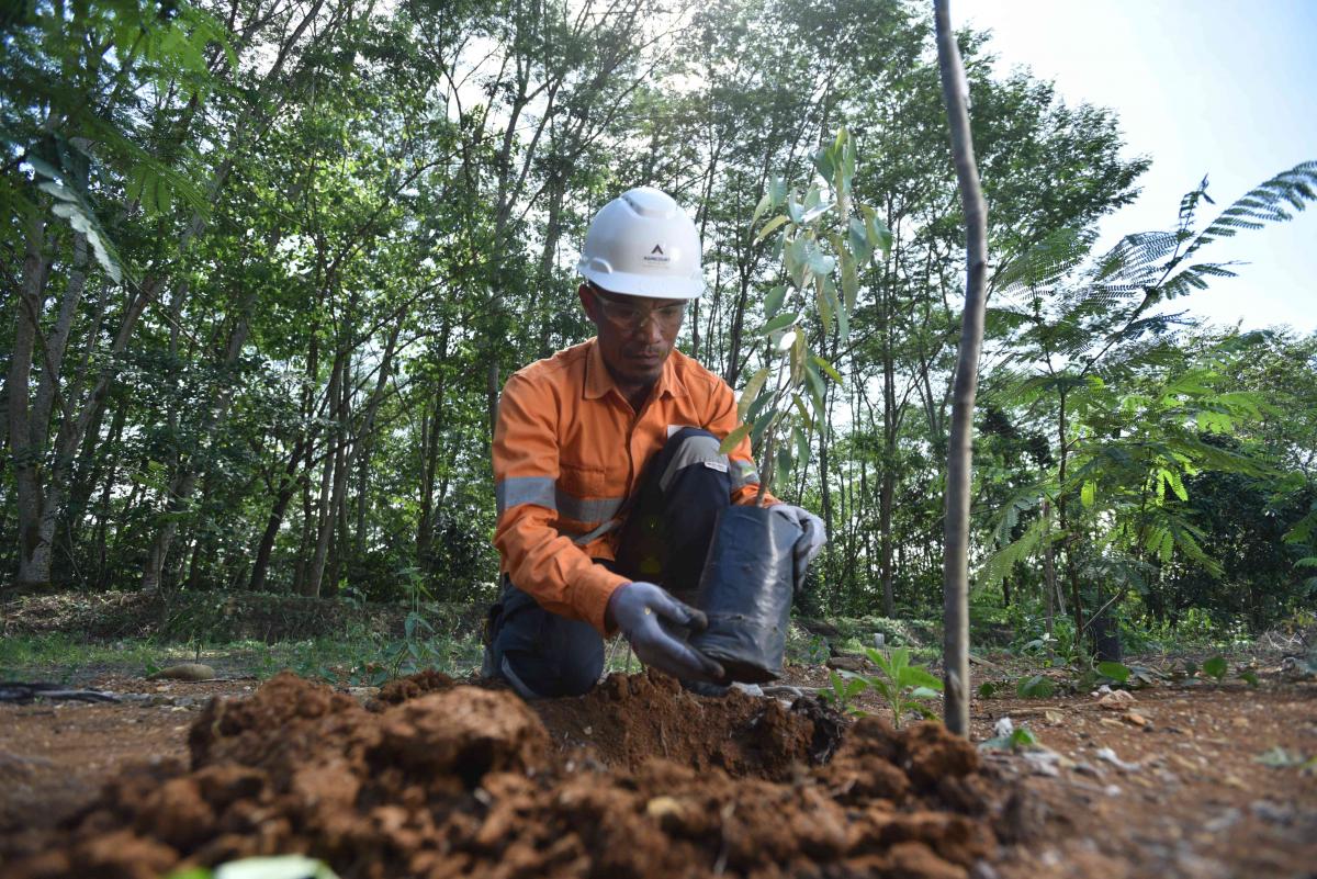 Infrastruktur & Reklamasi Tambang